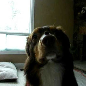 Meet your Posher, Charles